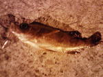 NEC_0139.JPG